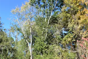 3415 Evergreen Dr, Kingwood, TX 77365 - Photo 23