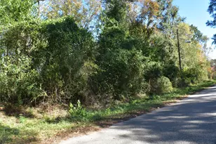 3415 Evergreen Dr, Kingwood, TX 77365 - Photo 15