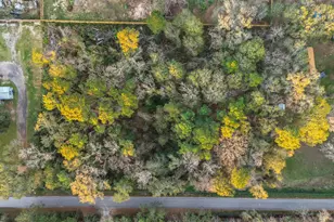 3415 Evergreen Dr, Kingwood, TX 77365 - Photo 5