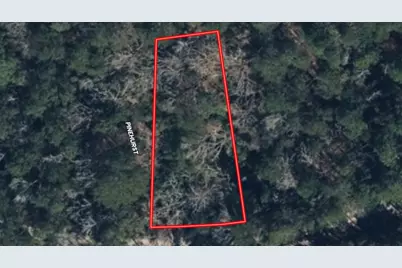 201 Idlewood Ct, Brookeland, TX 75931 - Photo 5