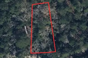 201 Idlewood Ct, Brookeland, TX 75931 - Photo 5