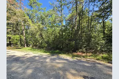 201 Idlewood Ct, Brookeland, TX 75931 - Photo 3