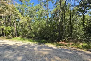 201 Idlewood Ct, Brookeland, TX 75931 - Photo 3