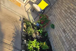 6510 Verbena Blossom Trail, Katy, TX 77449 - Photo 1