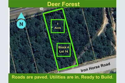 194 Iron Horse Road, New Waverly, TX 77358 - Photo 1