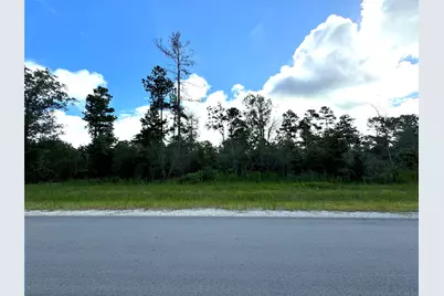 194 Iron Horse Road, New Waverly, TX 77358 - Photo 7