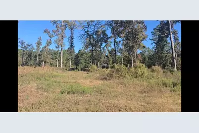 Tract C-4 Gaff Road, Magnolia, TX 77355 - Photo 1