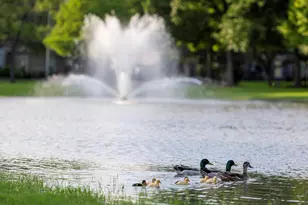 1015 Longdraw Dr, Katy, TX 77494 - Photo 49