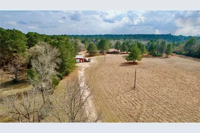 6161 County Road 3385, Lovelady, TX 75851 - Photo 9