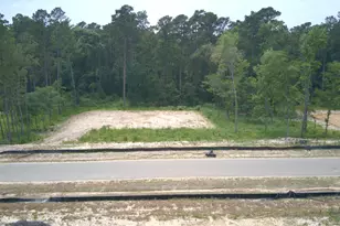 8421 Laughter Ln, Montgomery, TX 77316 - Photo 3