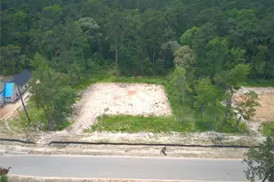 8421 Laughter Ln, Montgomery, TX 77316 - Photo 5