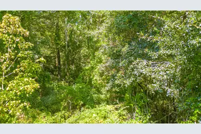 Tbd Royal Creek Road, Conroe, TX 77303 - Photo 7