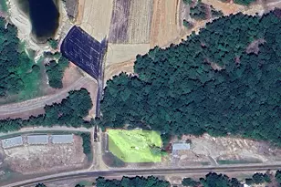 10295 E Hwy 255 St, Burkeville, TX 75932 - Photo 9