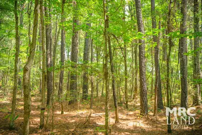 00 Crocker Road, Milam, TX 75959 - Photo 5