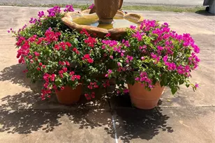 138 Vivian St, Brazoria, TX 77422 - Photo 7