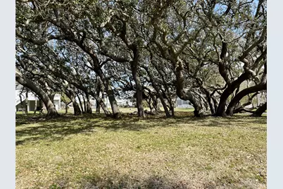 14426 Spyglass Circle, Galveston, TX 77554 - Photo 13