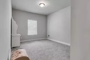 30531 Bahia Oak Bnd, Fulshear, TX 77423 - Photo 33