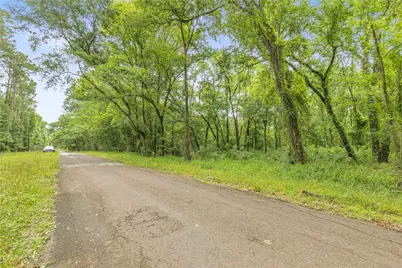 12572 Royal Creek Road, Conroe, TX 77303 - Photo 3