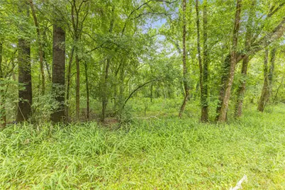 12572 Royal Creek Road, Conroe, TX 77303 - Photo 5