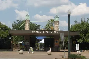 1905 Oakdale St, Houston, TX 77004 - Photo 43