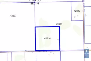 3831 Co Rd 408, El Campo, TX 77437 - Photo 5