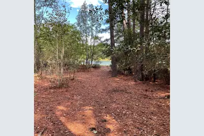 29340 Clydesdale Drive, Waller, TX 77484 - Photo 3