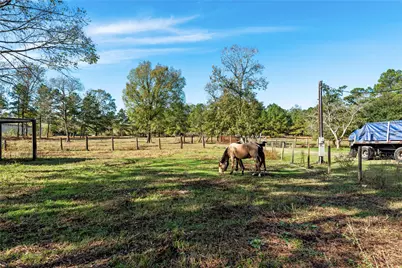 32130 Cypress Hollow Drive, New Caney, TX 77357 - Photo 5