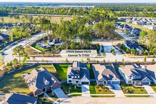 17003 Sweet Iris Ct, Conroe, TX 77302 - Photo 3