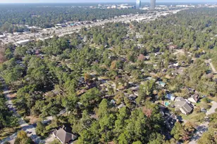 26206 Maplewood Dr, Spring, TX 77386 - Photo 43