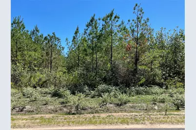 15702 Ridge Rock Road, Willis, TX 77378 - Photo 5