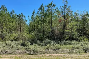 15702 Ridge Rock Rd, Willis, TX 77378 - Photo 5