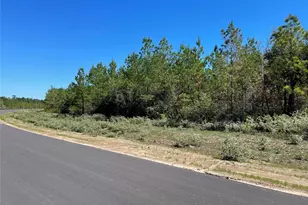 15702 Ridge Rock Rd, Willis, TX 77378 - Photo 7