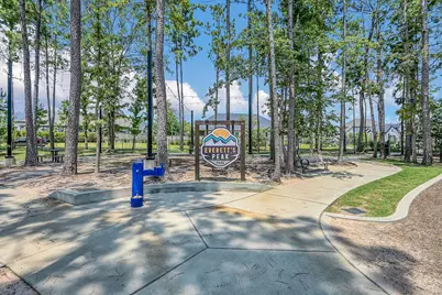 328 Rise Lane, Montgomery, TX 77316 - Photo 49