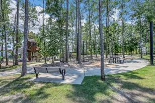 328 Rise Ln, Montgomery, TX 77316 - Photo 45