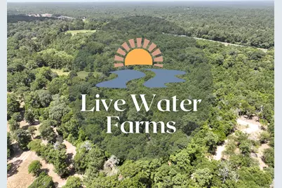 S1L3 Lake Pool Rd, Shepherd, TX 77371 - Photo 1