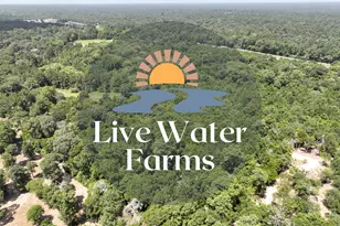 3 Lake Pool Rd, Shepherd, TX 77371 - Photo 1