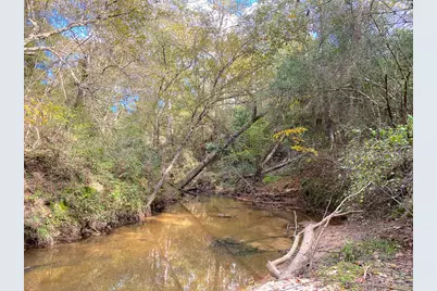 S1L3 Lake Pool Rd, Shepherd, TX 77371 - Photo 5
