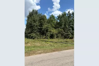 00 Tbd Fm 1486, Montgomery, TX 77316 - Photo 1