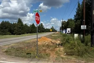 00 Tbd Fm 1486, Montgomery, TX 77316 - Photo 3