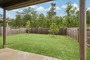 317 Maple Bark Trl, Conroe, TX 77378 - Photo 19