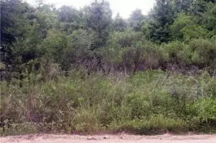 0 County Road 2926, Cleveland, TX 77327 - Photo 1
