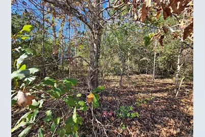 Tbd Cr-2107, Liberty, TX 77575 - Photo 17