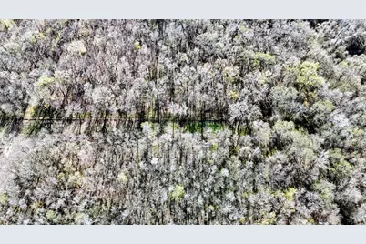 Tbd Cr-2107, Liberty, TX 77575 - Photo 13