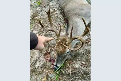 10324 Fm 530, Hallettsville, TX 77964 - Photo 25