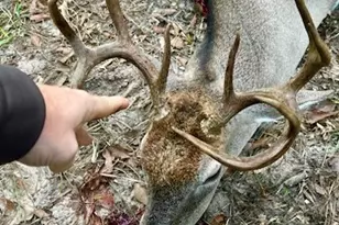 10324 FM 530, Hallettsville, TX 77964 - Photo 25