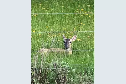 10324 Fm 530, Hallettsville, TX 77964 - Photo 23