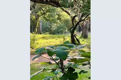 10324 Fm 530, Hallettsville, TX 77964 - Photo 21