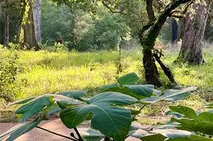 10324 FM 530, Hallettsville, TX 77964 - Photo 21