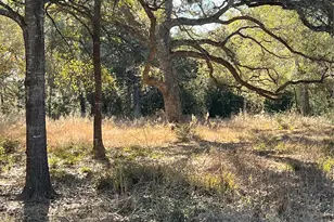 10324 FM 530, Hallettsville, TX 77964 - Photo 15