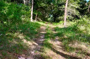 10324 FM 530, Hallettsville, TX 77964 - Photo 1